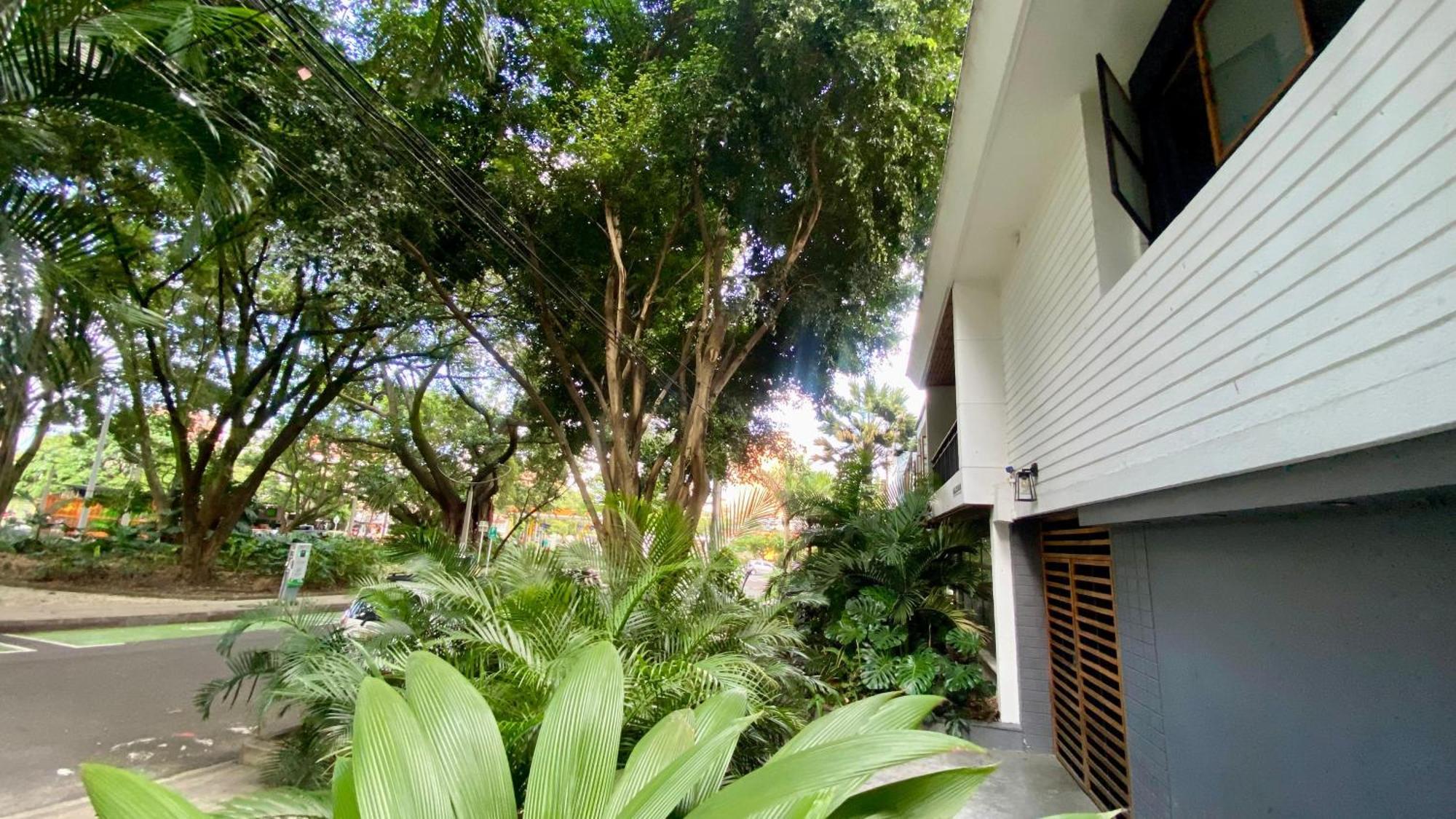 Casa Mosaiko Primer Parque Laureles Medellín Dış mekan fotoğraf
